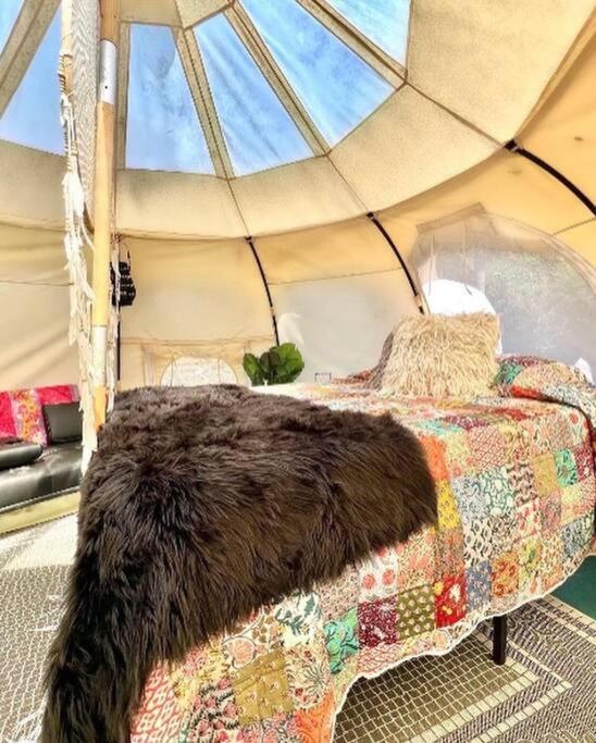 The Pisces-A Stargazing, Luxury Glamping Tent Rogersville Exterior photo