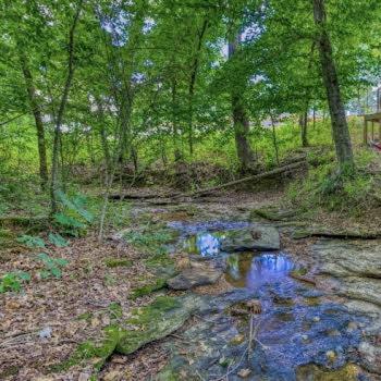 The Pisces-A Stargazing, Luxury Glamping Tent Rogersville Exterior photo